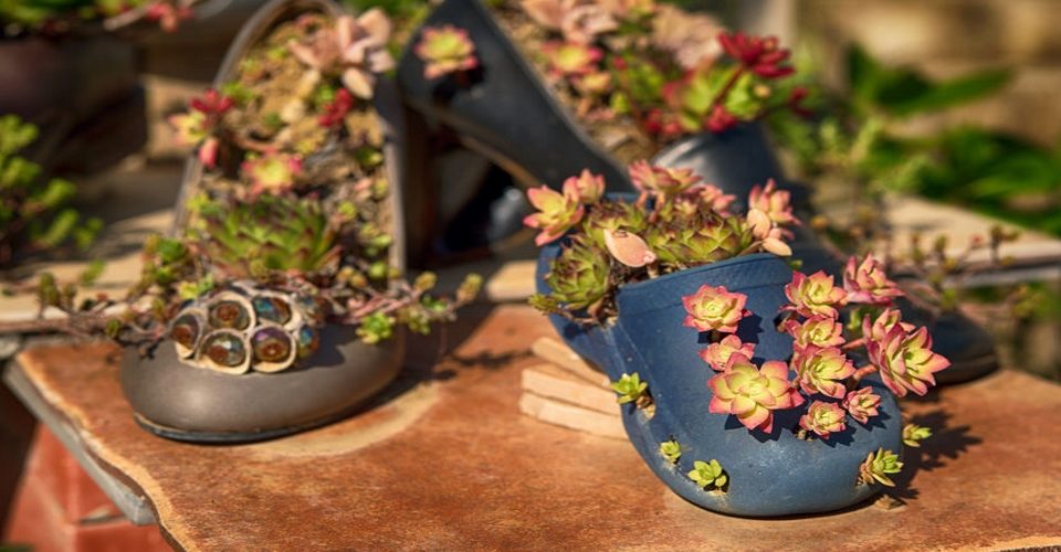 Get in the Garden with Some comfortable clogs